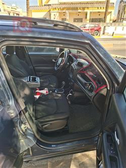 جيب رينيجيد